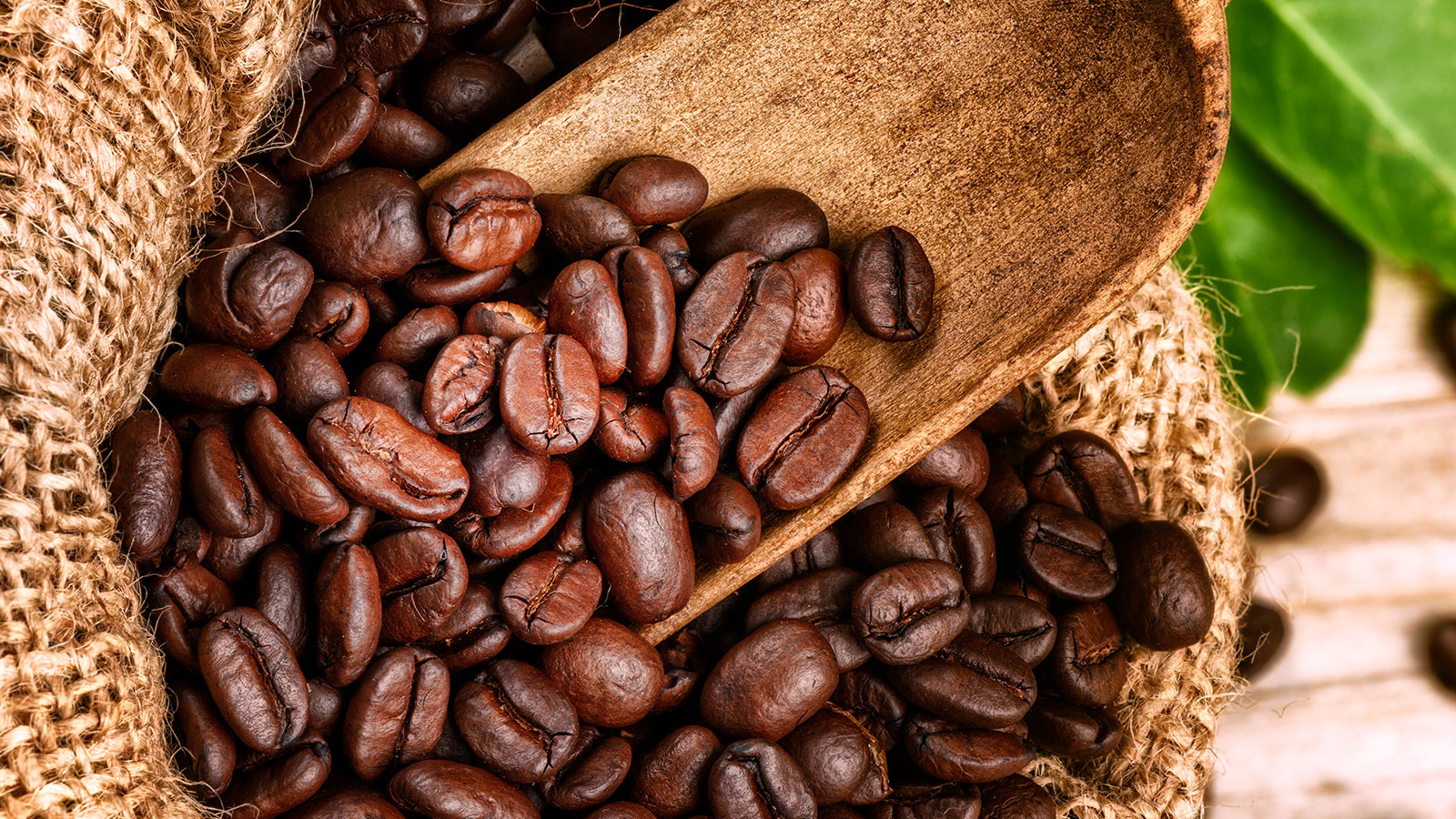Vente en ligne : Caf
