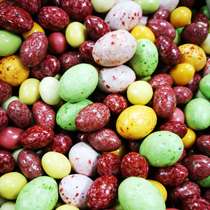 Jardin gourmand : Confiseries