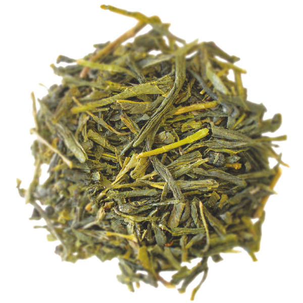 Sencha KOTO, Th Vert : Th