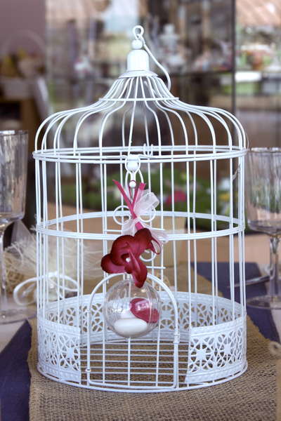 Cage  Oiseaux : Produits vitrine