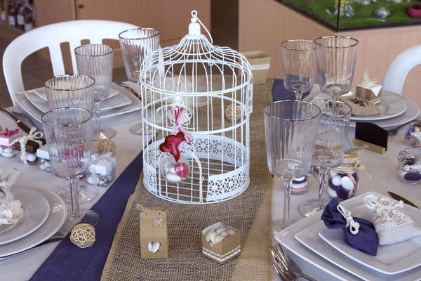 Cage  Oiseaux : Produits vitrine