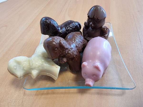 Animaux de Pques assortis : Chocolat