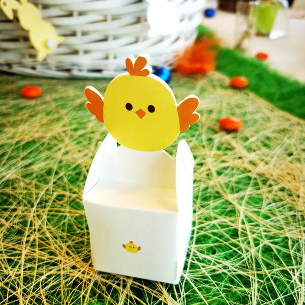Etui poussin : Emballages