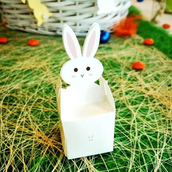 Etui lapin : Emballages