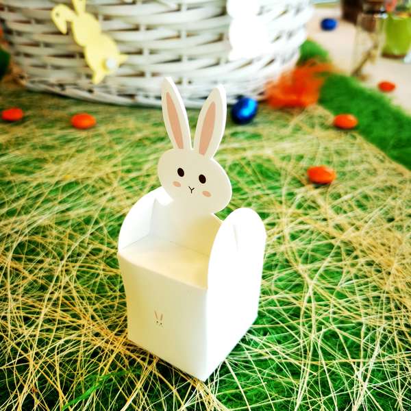 Etui lapin : Emballages