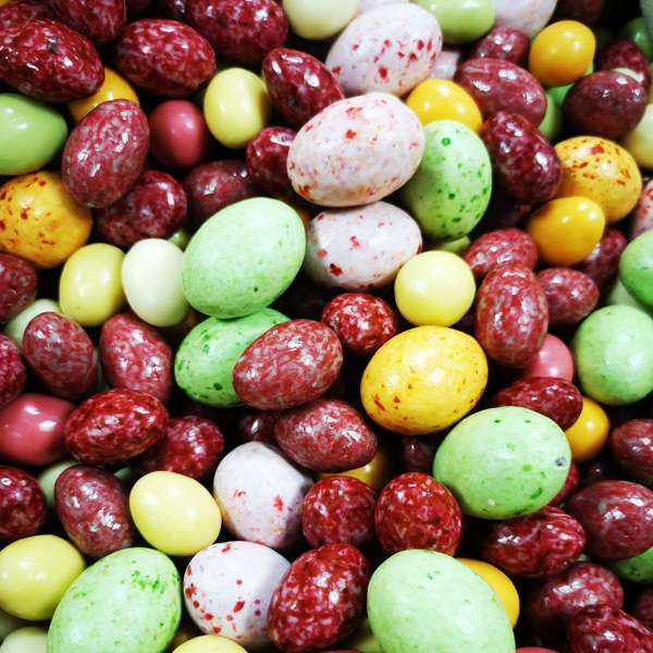 Jardin gourmand : Chocolat